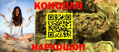 дживик Моздок