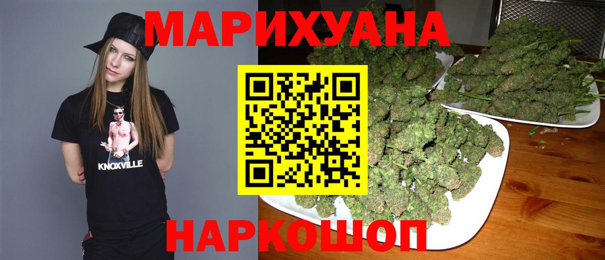 Бошки марихуана гибрид Сунжа
